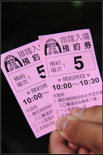 《遊記—桃園復興》小烏來天空步道~膽小勿試！