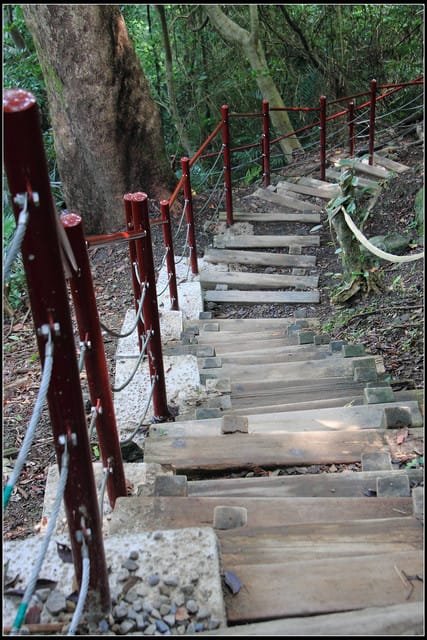 《遊記—桃園復興》小烏來天空步道~膽小勿試！