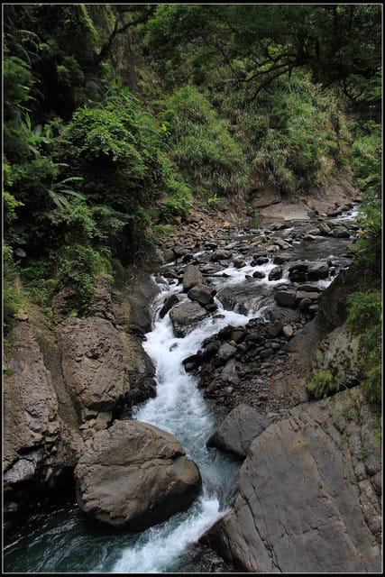 《遊記—桃園復興》小烏來天空步道~膽小勿試！
