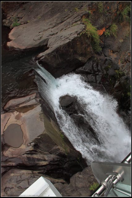 《遊記—桃園復興》小烏來天空步道~膽小勿試！
