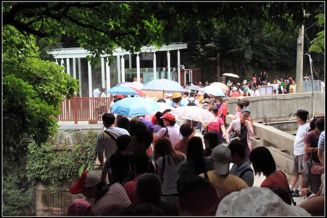 《遊記—桃園復興》小烏來天空步道~膽小勿試！