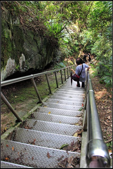 《遊記—桃園復興》小烏來天空步道~膽小勿試！