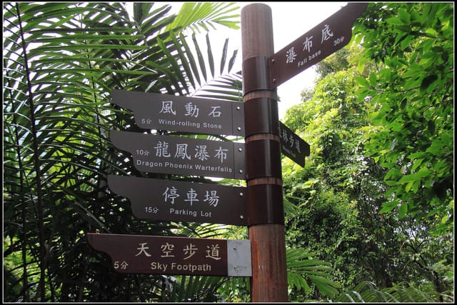 《遊記—桃園復興》小烏來天空步道~膽小勿試！