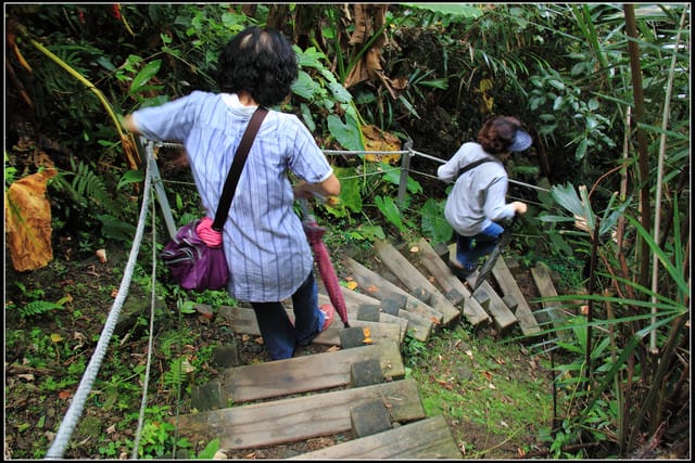 《遊記—桃園復興》小烏來天空步道~膽小勿試！