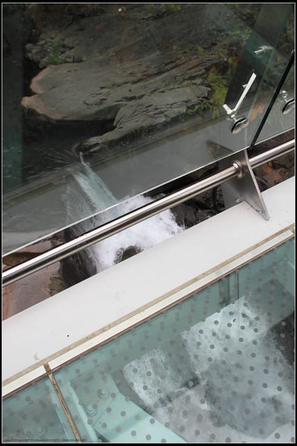 《遊記—桃園復興》小烏來天空步道~膽小勿試！