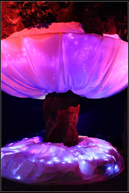 《遊記—南投》航海王in九族文化村