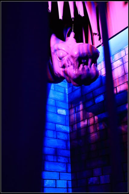 《遊記—南投》航海王in九族文化村