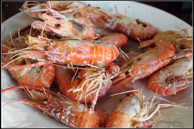 《遊記—桃園》與蝦鬥智～人和釣蝦場