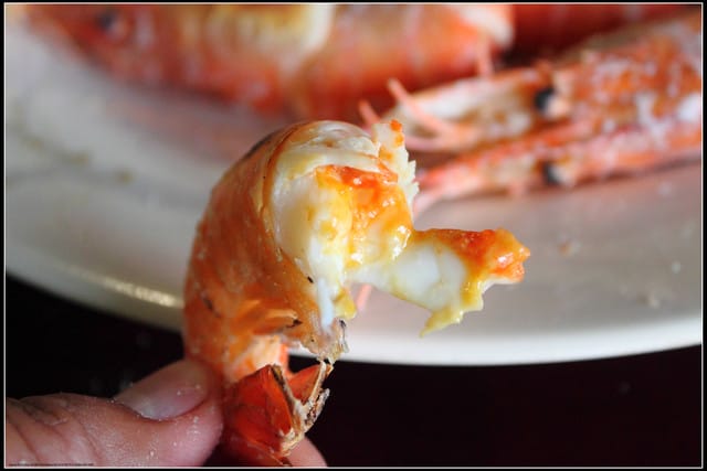 《遊記—桃園》與蝦鬥智～人和釣蝦場