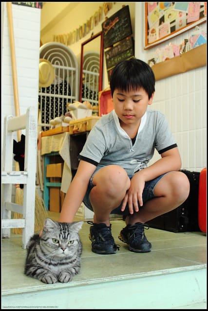 《食記—新北中和》私藏不藏私～來個慵懶下午茶吧！