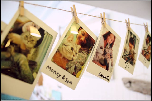 《食記—新北中和》私藏不藏私～來個慵懶下午茶吧！