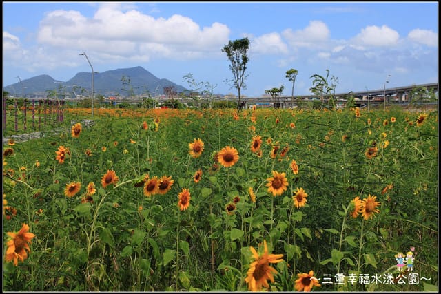 《遊記—新北三重》幸福水漾公園隨拍 - 第13張圖 《遊記—新北三重》幸福水漾公園隨拍