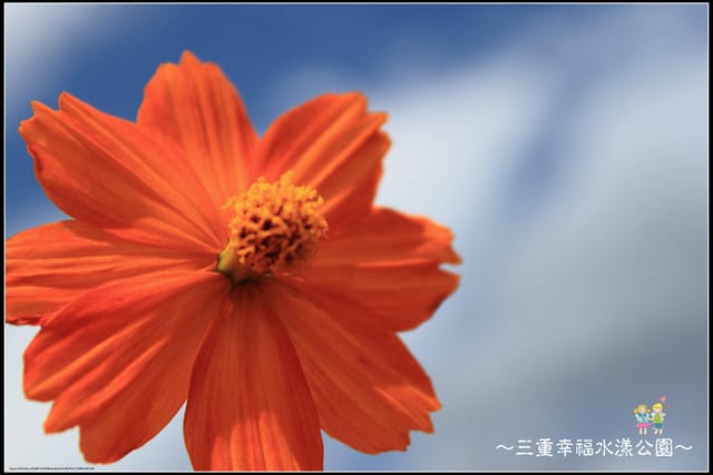 《遊記—新北三重》幸福水漾公園隨拍 - 第48張圖 《遊記—新北三重》幸福水漾公園隨拍