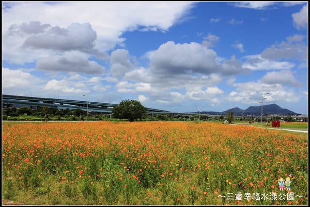 《遊記—新北三重》幸福水漾公園隨拍 - 第47張圖 《遊記—新北三重》幸福水漾公園隨拍