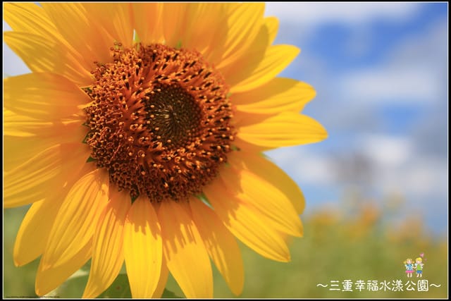 《遊記—新北三重》幸福水漾公園隨拍 - 第43張圖 《遊記—新北三重》幸福水漾公園隨拍