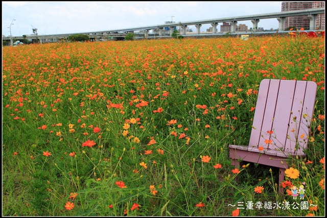《遊記—新北三重》幸福水漾公園隨拍 - 第60張圖 《遊記—新北三重》幸福水漾公園隨拍
