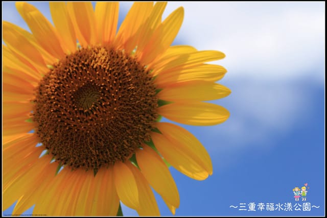 《遊記—新北三重》幸福水漾公園隨拍 - 第32張圖 《遊記—新北三重》幸福水漾公園隨拍