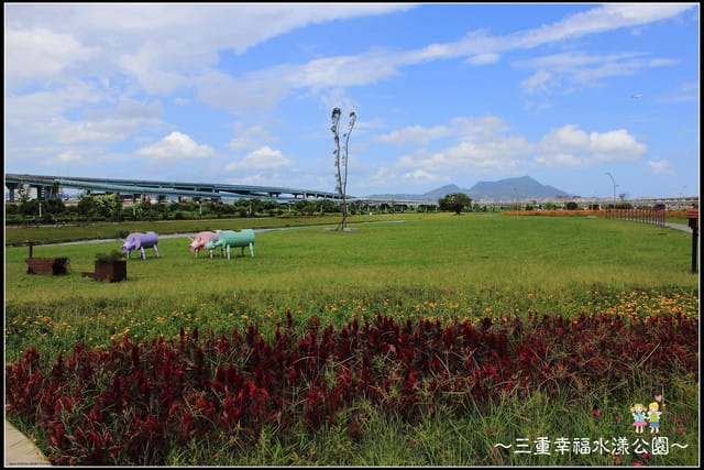 《遊記—新北三重》幸福水漾公園隨拍 - 第11張圖 《遊記—新北三重》幸福水漾公園隨拍