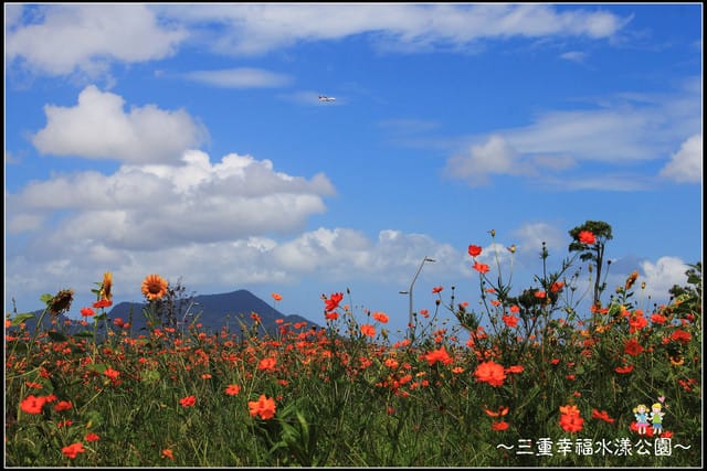 《遊記—新北三重》幸福水漾公園隨拍 - 第22張圖 《遊記—新北三重》幸福水漾公園隨拍