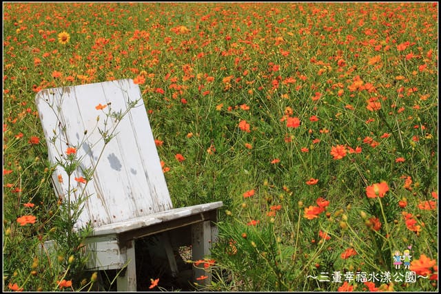 《遊記—新北三重》幸福水漾公園隨拍 - 第51張圖 《遊記—新北三重》幸福水漾公園隨拍