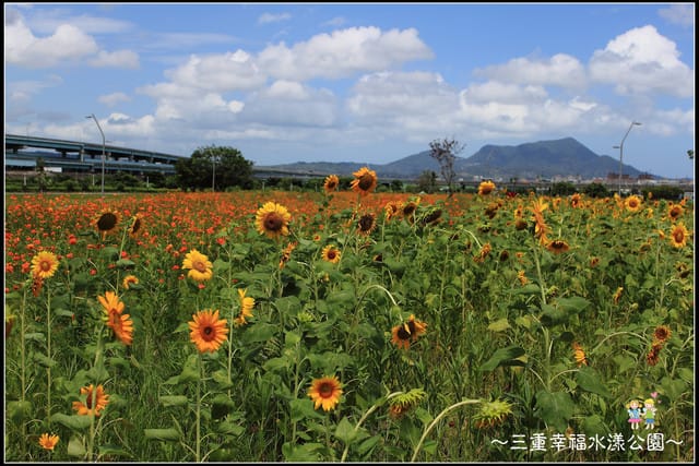 《遊記—新北三重》幸福水漾公園隨拍 - 第26張圖 《遊記—新北三重》幸福水漾公園隨拍