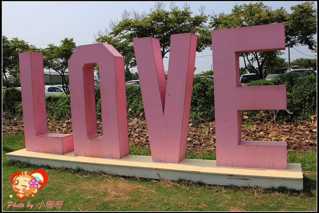 《遊記—桃園觀音》向陽農場（向日葵主題農場）