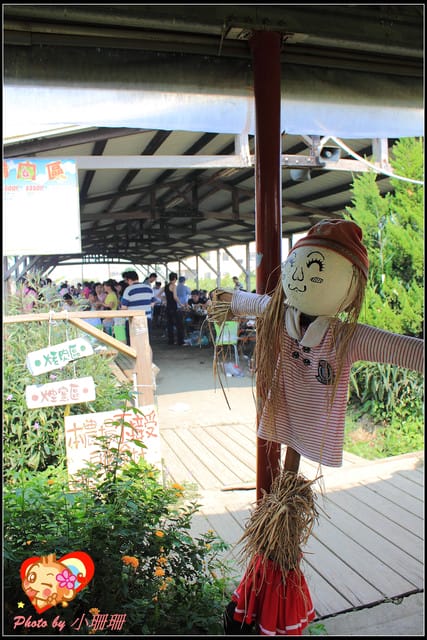 《遊記—桃園觀音》向陽農場（向日葵主題農場）