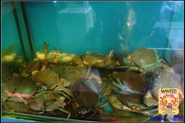 《食記—新北板橋》潮州一品沙鍋粥~粥之霸 - 第6張圖 《食記—新北板橋》潮州一品沙鍋粥~粥之霸