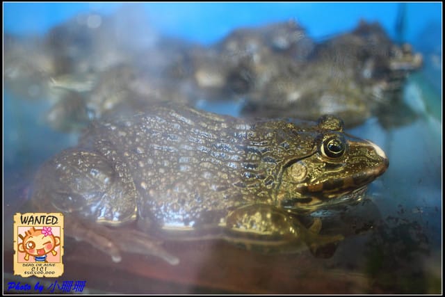 《食記—新北板橋》潮州一品沙鍋粥~粥之霸 - 第7張圖 《食記—新北板橋》潮州一品沙鍋粥~粥之霸