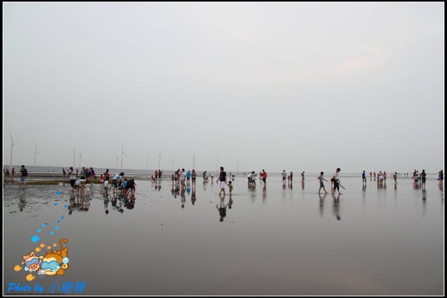 《遊記—台中》一望無際的高美濕地
