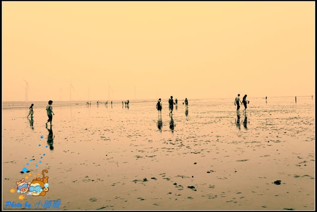 《遊記—台中》一望無際的高美濕地 - 第12張圖 《遊記—台中》一望無際的高美濕地