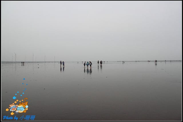 《遊記—台中》一望無際的高美濕地 - 第13張圖 《遊記—台中》一望無際的高美濕地