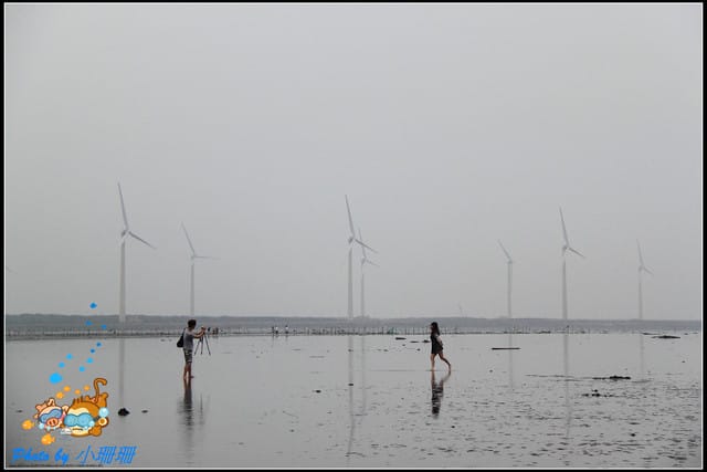 《遊記—台中》一望無際的高美濕地 - 第14張圖 《遊記—台中》一望無際的高美濕地