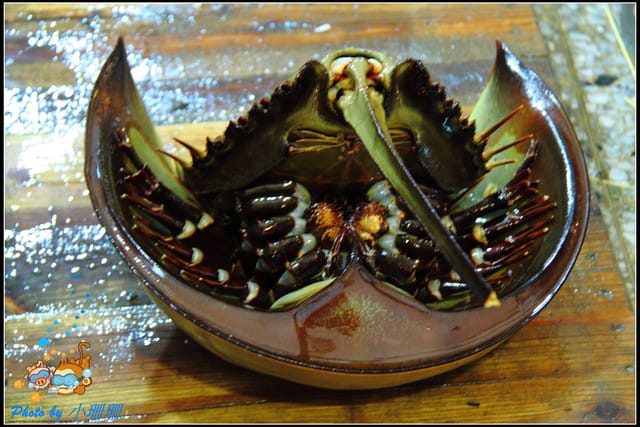 《食記—台中》梧棲漁港＆珍珠港餐廳