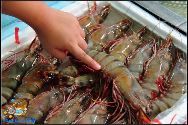 《食記—台中》梧棲漁港＆珍珠港餐廳