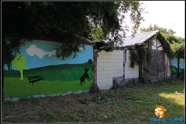 《隨拍—新北板橋》學生創意玩色～力行新村彩繪村
