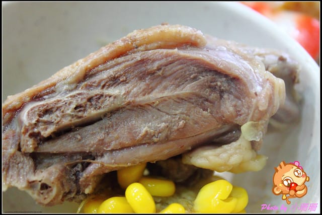 《廣宣—中壢》度過一個暖呼呼的冬天～台灣番鴨牧場