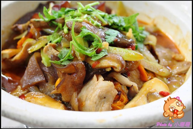 《廣宣—中壢》度過一個暖呼呼的冬天～台灣番鴨牧場