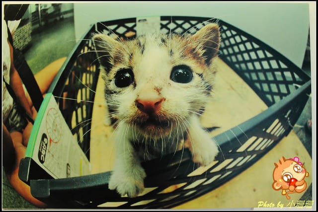 《隨拍—台北》『你在哪裡』體驗攝影展