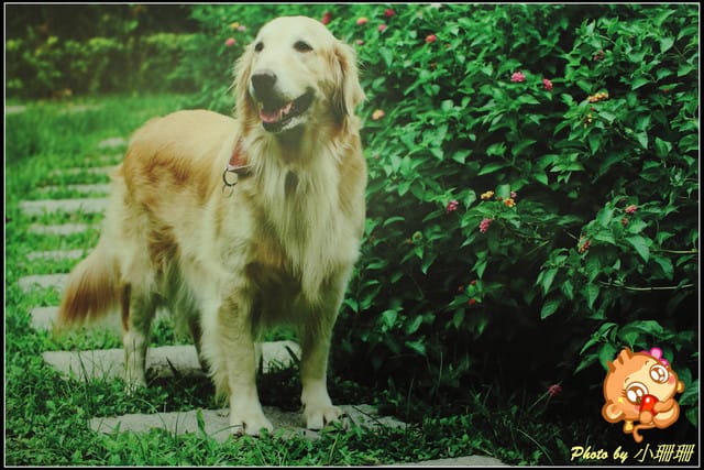 《隨拍—台北》『你在哪裡』體驗攝影展