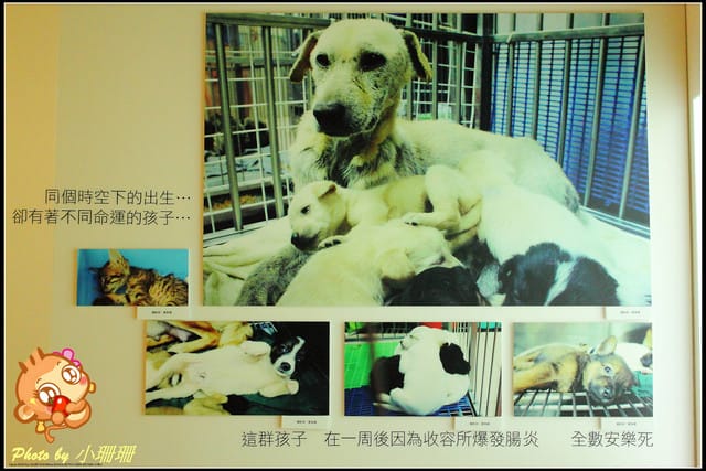 《隨拍—台北》『你在哪裡』體驗攝影展