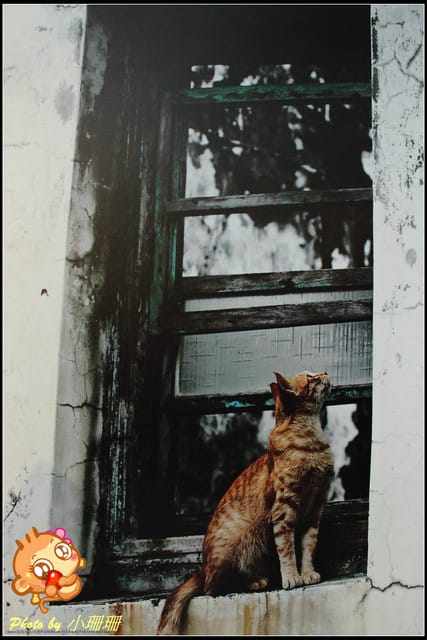 《隨拍—台北》『你在哪裡』體驗攝影展