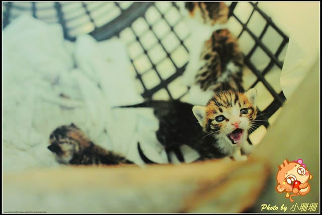 《隨拍—台北》『你在哪裡』體驗攝影展