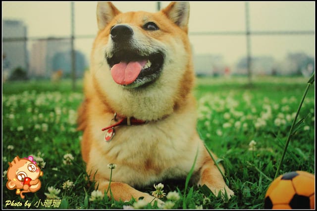 《隨拍—台北》『你在哪裡』體驗攝影展