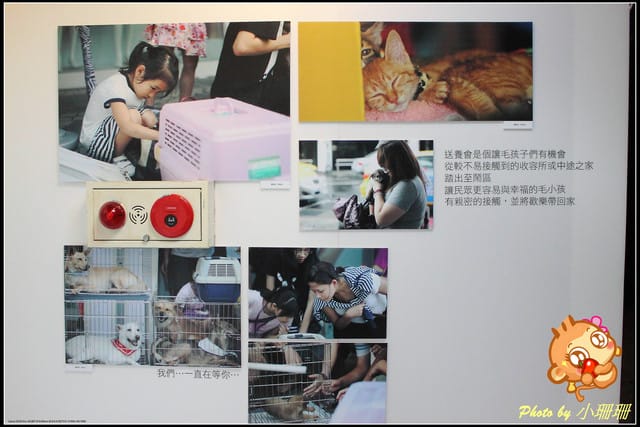 《隨拍—台北》『你在哪裡』體驗攝影展