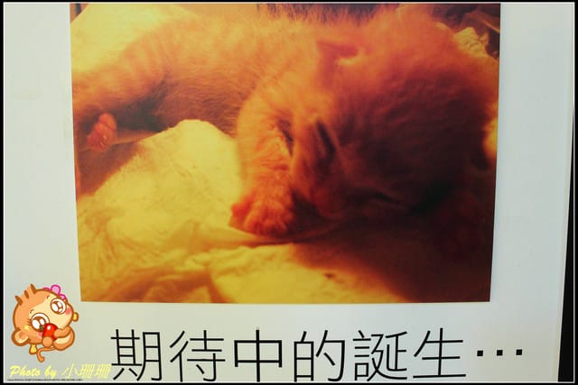 《隨拍—台北》『你在哪裡』體驗攝影展