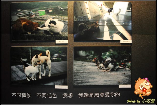 《隨拍—台北》『你在哪裡』體驗攝影展