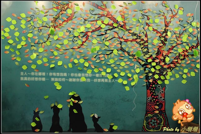 《隨拍—台北》『你在哪裡』體驗攝影展