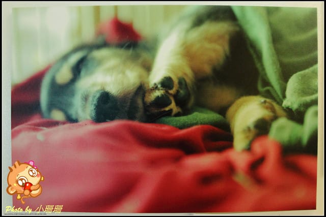 《隨拍—台北》『你在哪裡』體驗攝影展