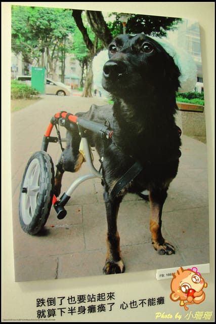 《隨拍—台北》『你在哪裡』體驗攝影展